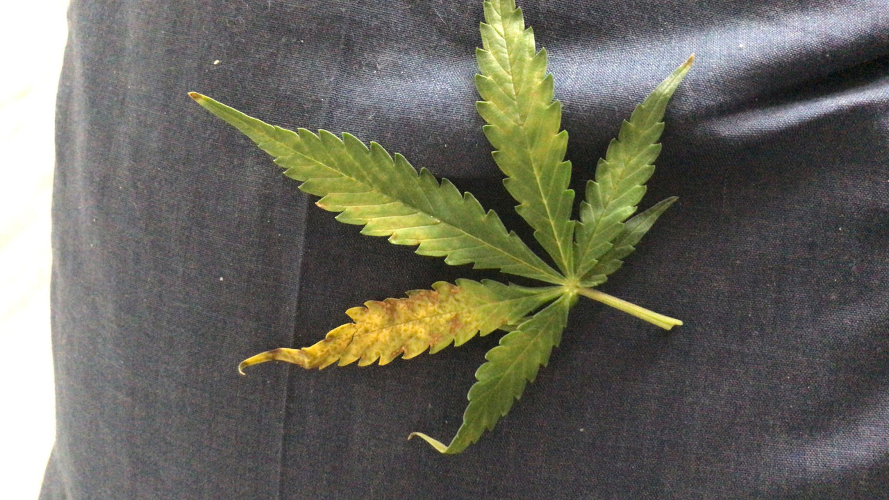 WhatsApp Image 2022-01-12 at 12.44.00