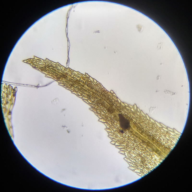 IMG 20250614 112540 HDR