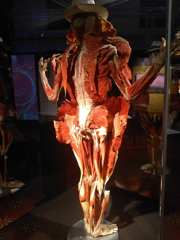 72437698_754267908336473_1222861662587977728_n