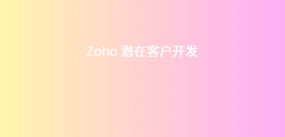 Zoho 潜在客户开发