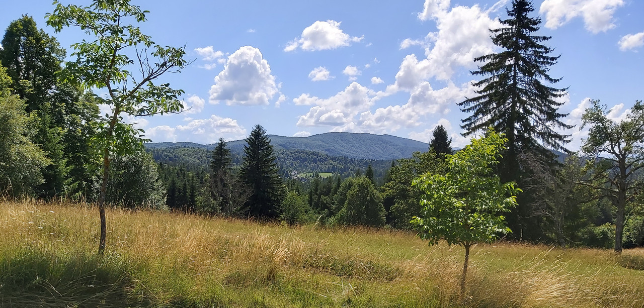 20210714-150822-c.jpg