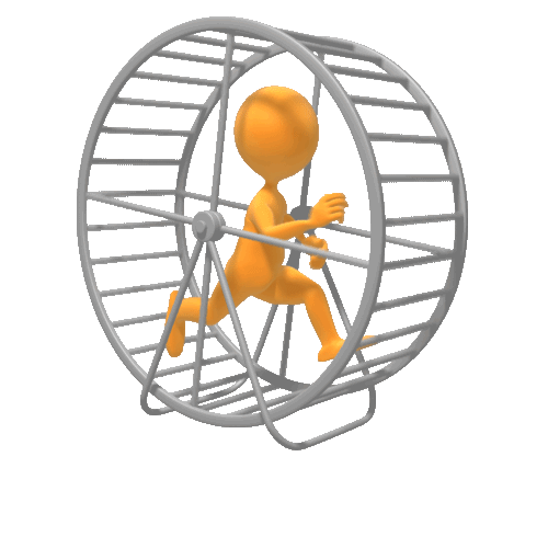 hamster wheel 47 2856901059