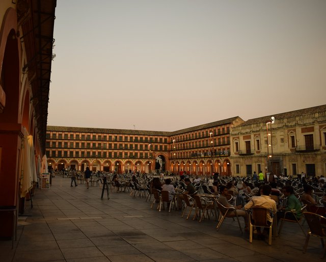 Domingo 5/07. Palacio de Viana, Iglesias Fernandinas, Alcázar, Mezquita-Catedral - Córdoba y Granada en un verano atípico. (20)