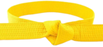 Yellow Belt