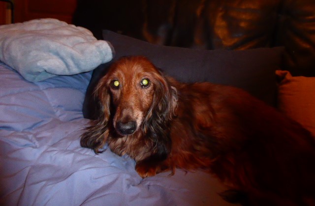 [Image: P1050834.jpg]