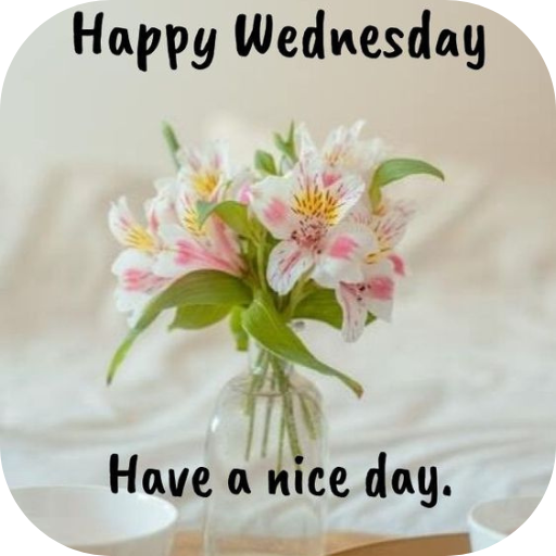 WEDNESDAY-mercredi-15