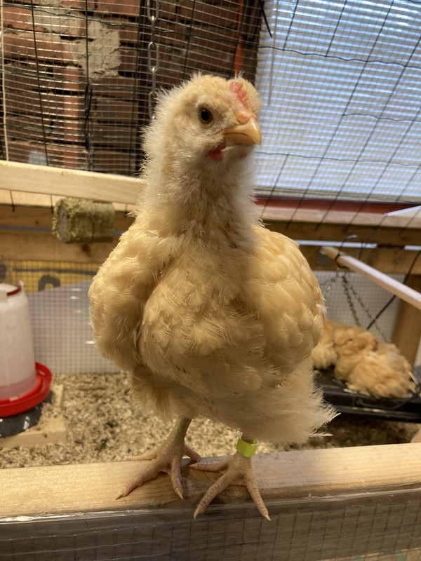 97DA58C5-1A25-43ED-A78B-FEC37D2047D1