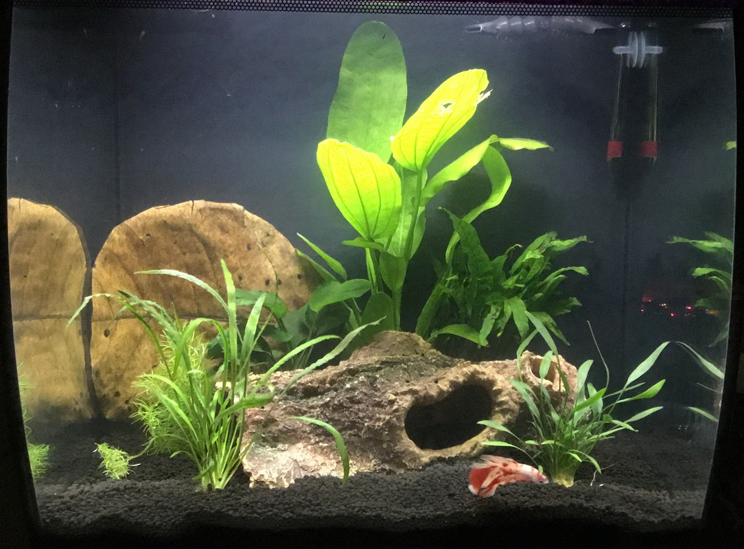 95AA3D5F-3A39-4BE5-A2BE-9BF48A8E457A