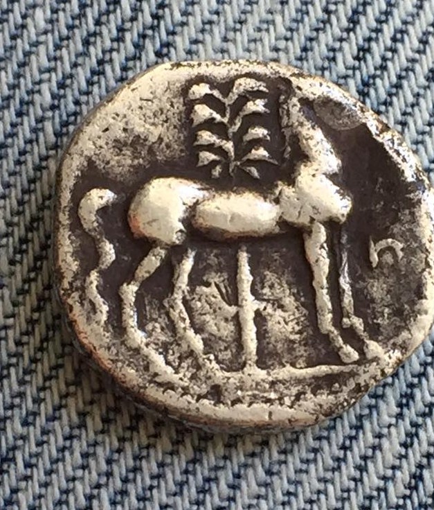 46656709_2233777816901647_6817538924815056896_n