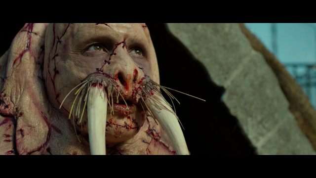 4 - Tusk [Full BluRay 1080p] [Cast/Ing/Fr/Ale/Ita DTS-HD M] [Terror] [2014]