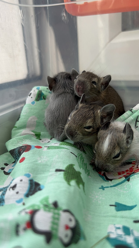 6DF8CE63-6F1A-4648-A4CE-DEBD88F678A9