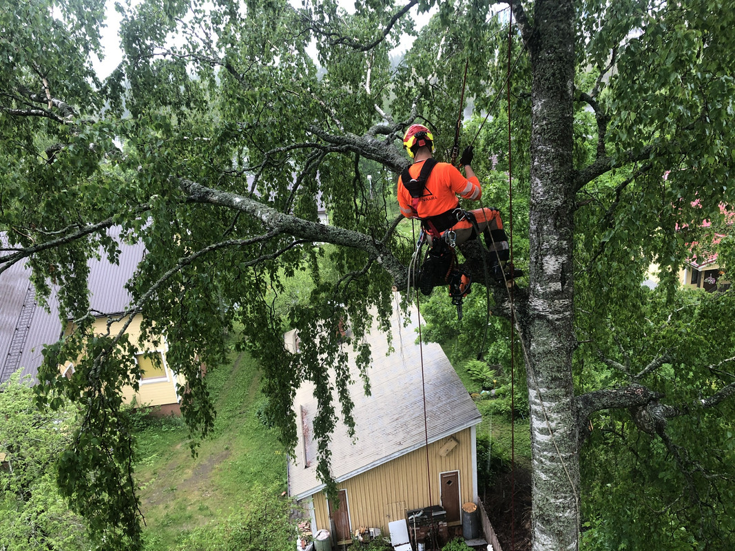 F1235E11-C790-4FDC-809F-919F78A3A57F