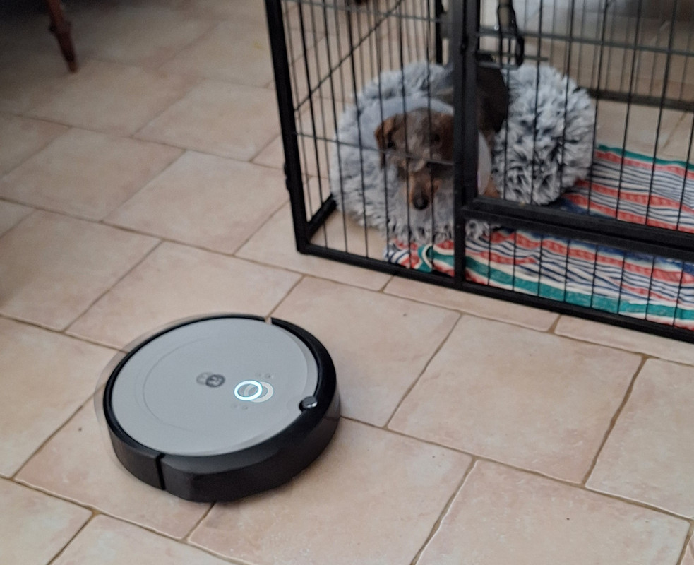 [Image: 20250227-123446.jpg]