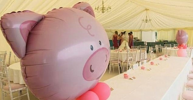 Невеста была в бешенстве, узнав, что жених организовал свадьбу на свиноферме