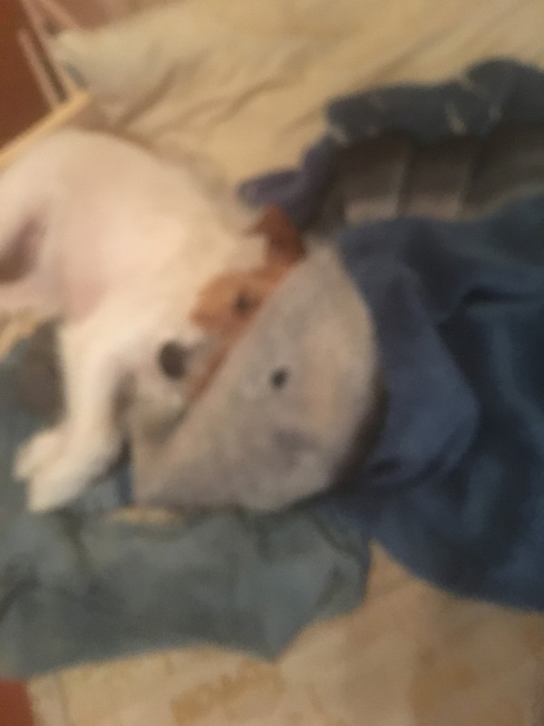 3548D3DE-D281-4743-AF74-468F1161D671