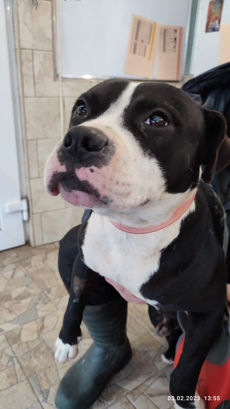 WhatsApp Image 2023-02-03 at 13.57.07 (1)