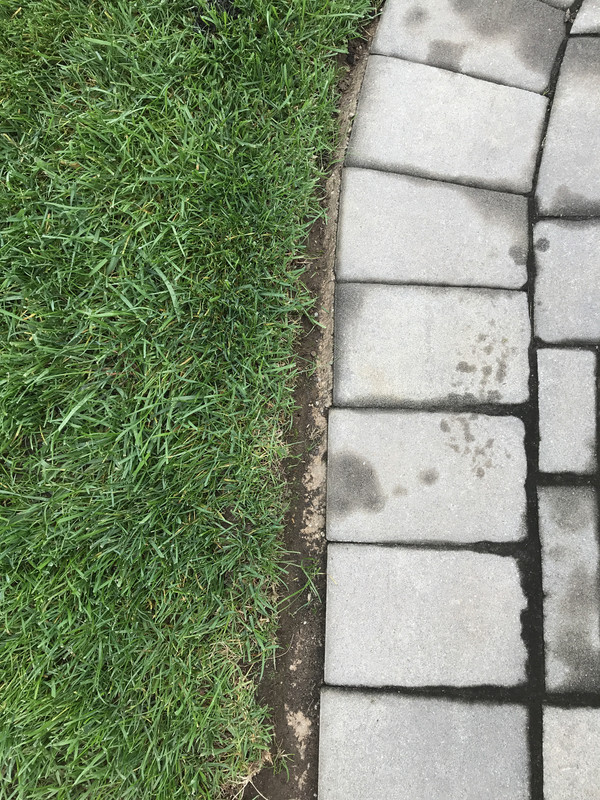 what to use to fill a gap between patio and lawn Lawn Care Forum