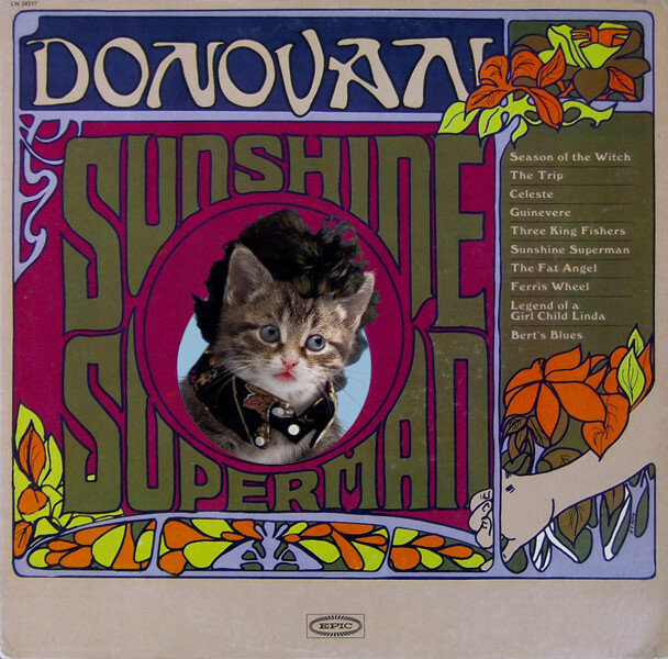10-Sunshine-Supercat