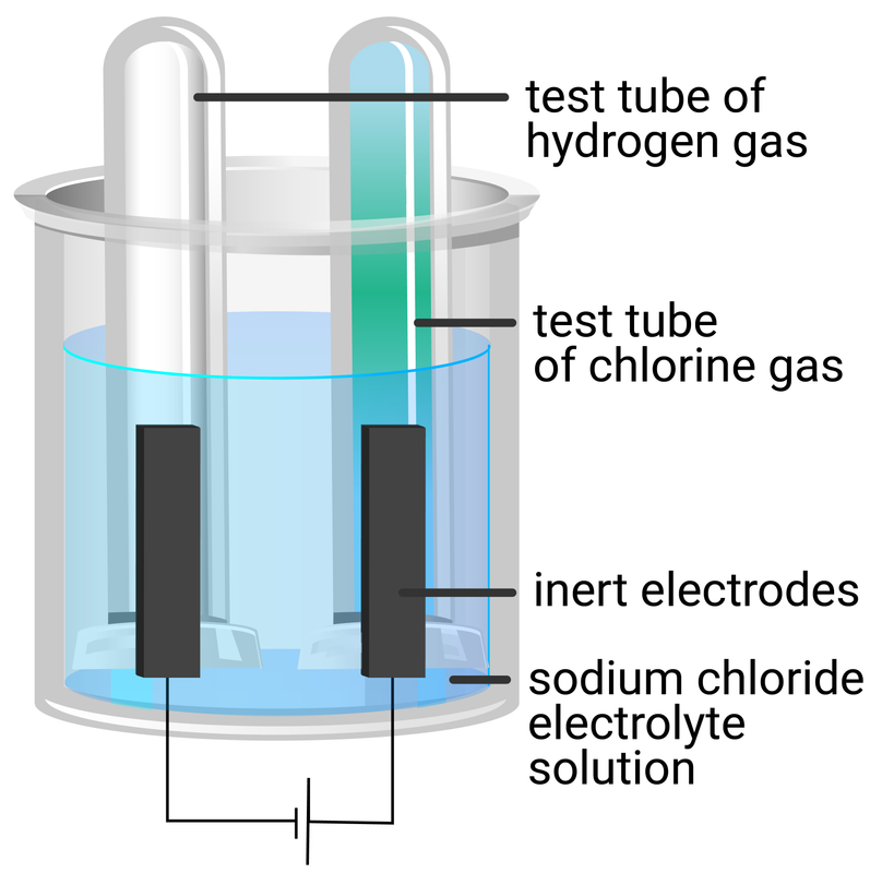 a student makes a hypothesis when different salt solutions