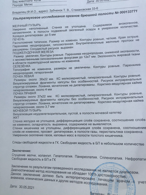 477547D0-96EF-4937-90DF-301C8778CA96