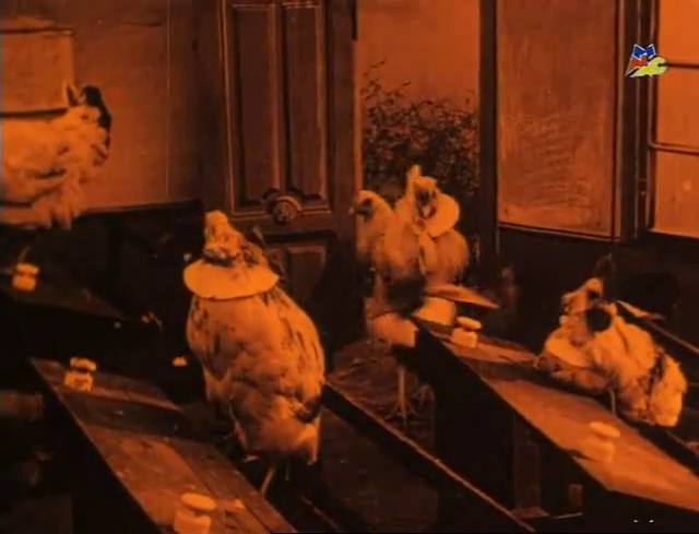 vlcsnap-2020-05-29-12h12m05s186