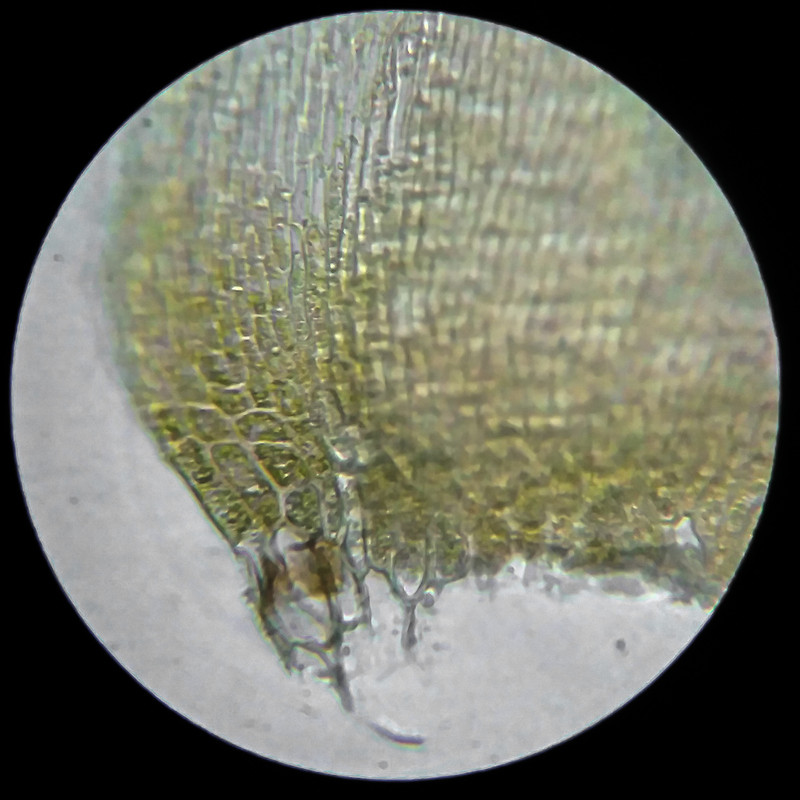 IMG 20250614 210248 HDR