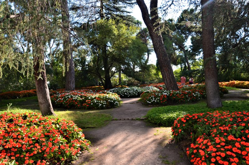 PARQUE EL CAPRICHO-2013-2022-MADRID - Paseando por España-1991/2016 (214)