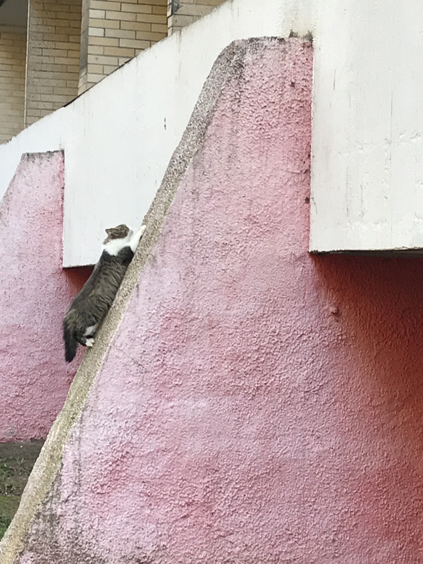 9878F7D0-1701-4594-8A0F-8639AAC64E44