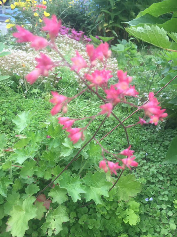 BE89295A-2BD6-4A32-B3C4-A16EFF77ACF7