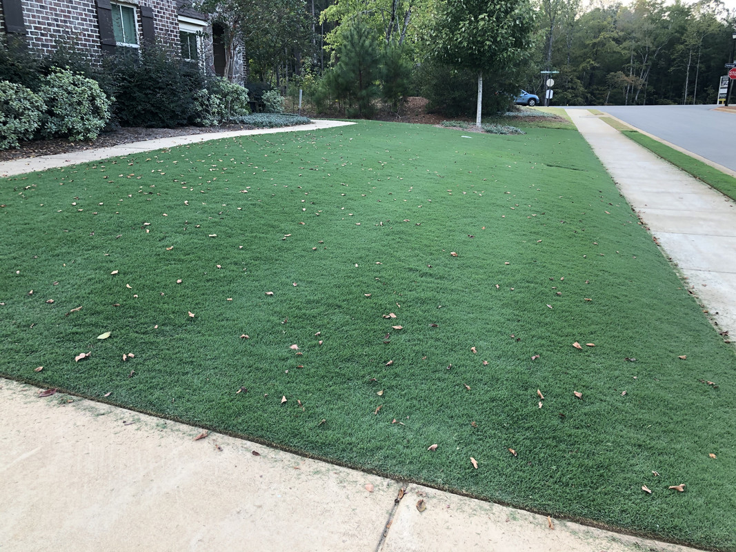 4BFE416B-118F-42E5-A7E0-3057145E4493