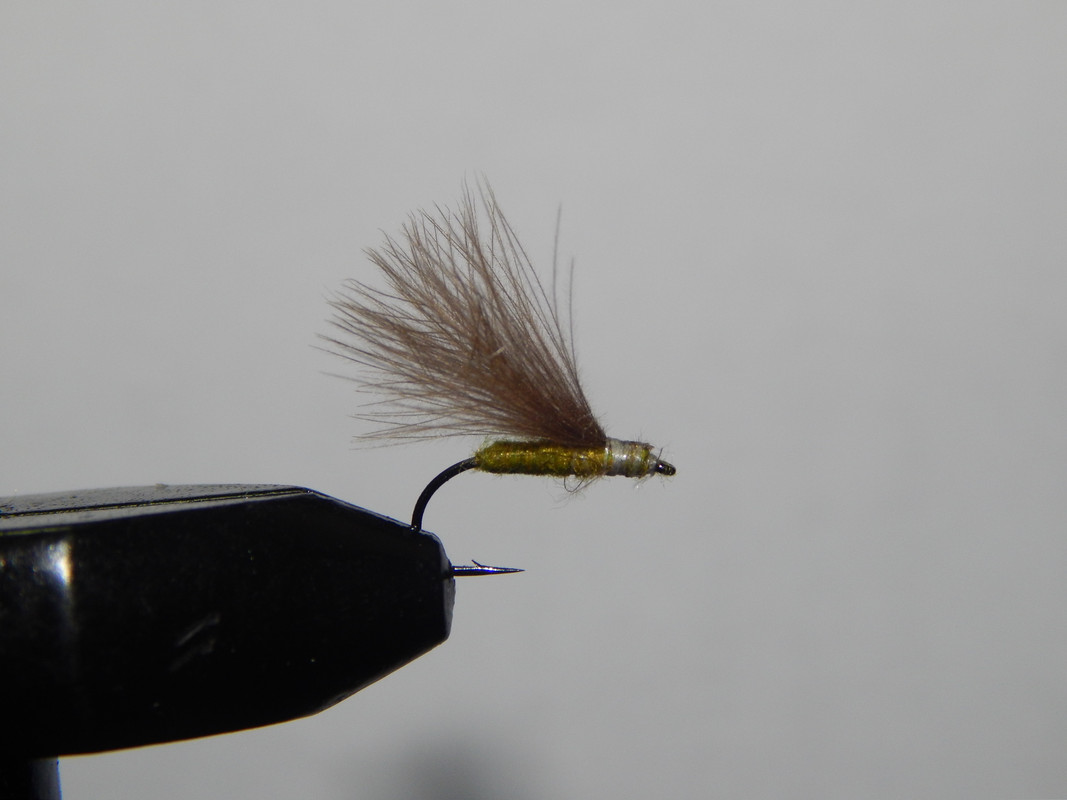 Первая муха_1