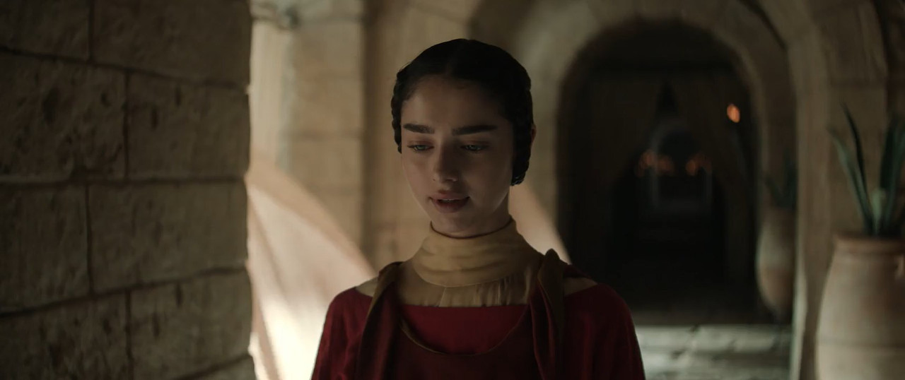Mary 2024 WebRip [Hindi + Tamil + Telugu + English] 480p, 720p ESub Screenshot