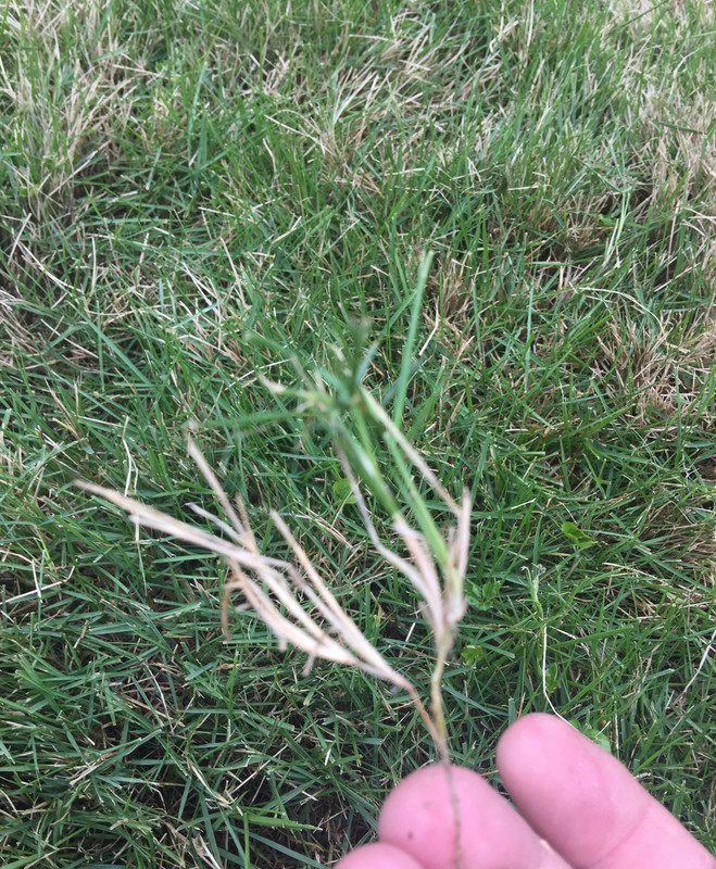 83E1E28E-9E12-4A4C-983B-368094B2D68D