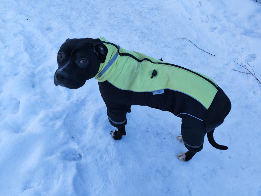 E1BF078D-071B-4972-92E3-F3DFEC4C85C5