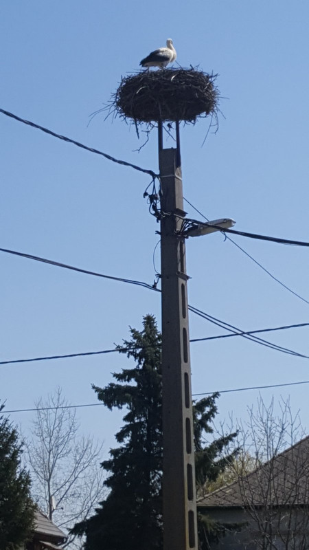 viber_kép_2020-04-09_12-10-17