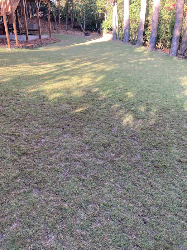 15D23600-34A6-40A9-99C3-C39A89ED34B5