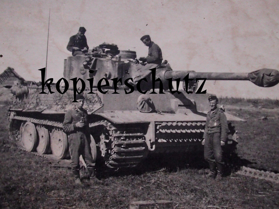 $T2eC16NHJHgFFlnjrZ(jBSWBV TMTQ~~60_10