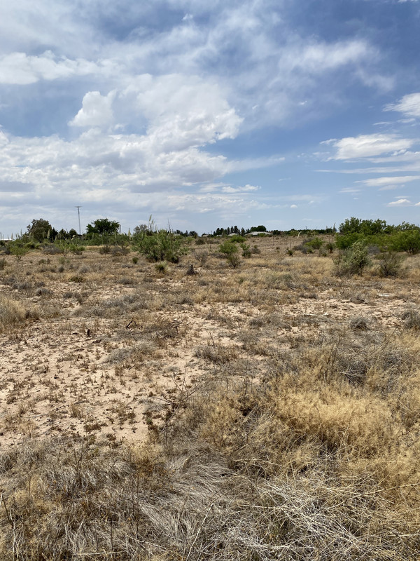 2.5 acre Building Lot within minutes to Deming, NM.  Only $200/month!!