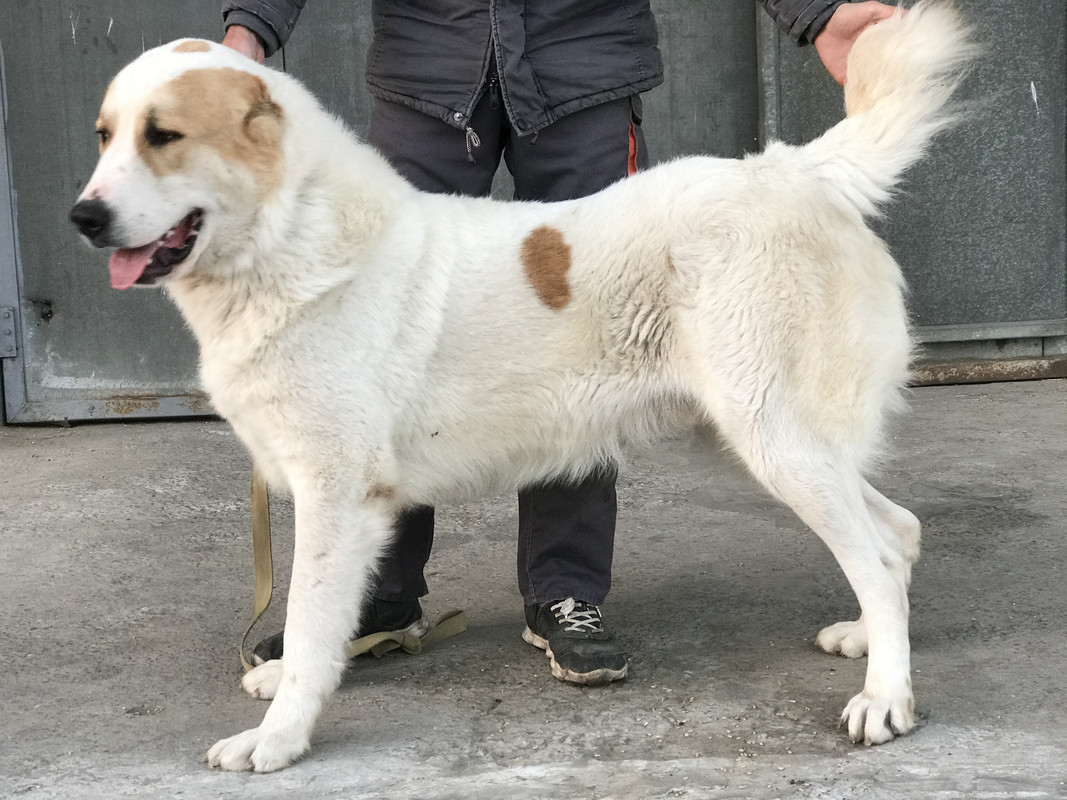 38174EC7-44FF-49E2-84A7-D702E867078C