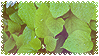 Stamp of a bunch of broad leaves.