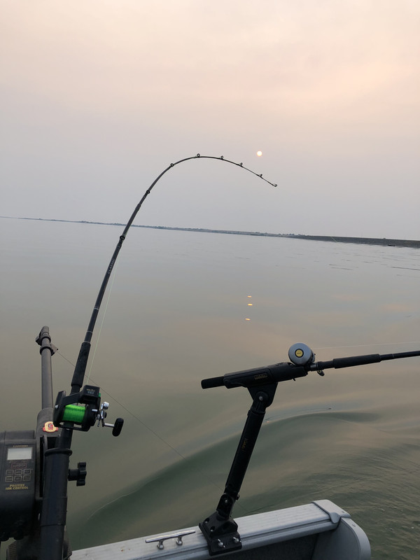 2A56EB36-F0A4-417A-B45C-77045820676F