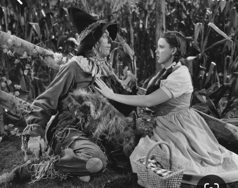 Screenshot_20240215_231726_Pinterest