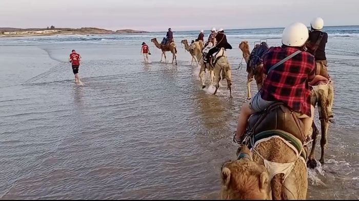 Sunset Camel Ride