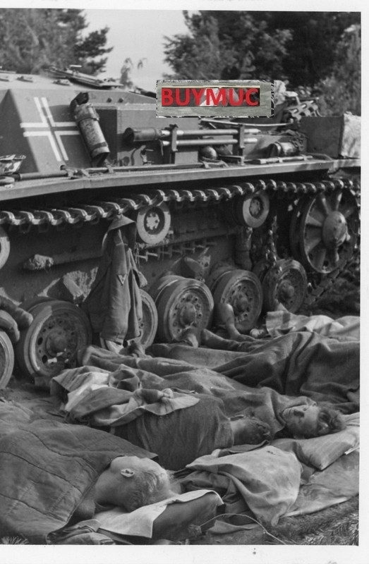 LARGE FOTO PANZER TANK STURMGESCHÜTZ RUSSIA CORC