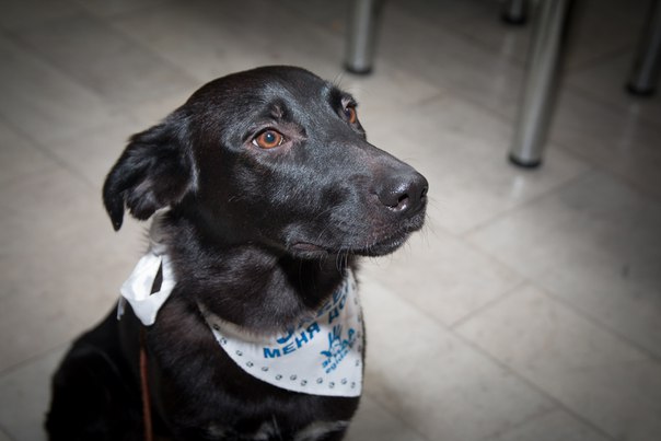 A6FF0796-3D25-4D61-9956-F7577610EBF2