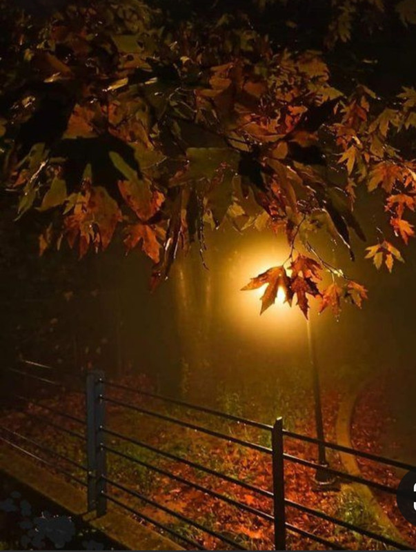 Screenshot_20240131_205828_Pinterest