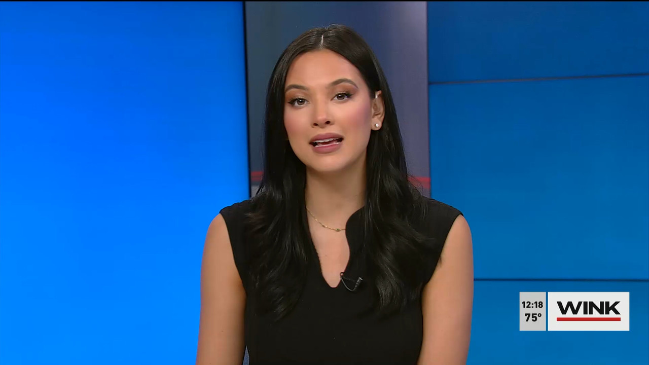 01.09 - 17.00.00 - The WINK Noon News  ᴺᵉʷ. Midday news update..ts_snapshot_25.13.241