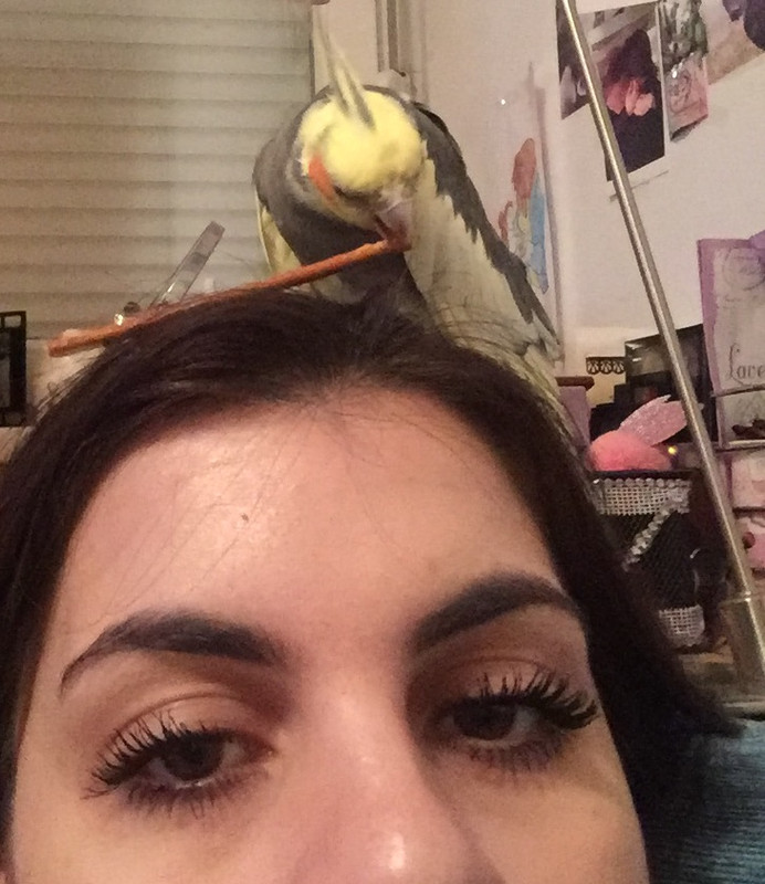 86BCDBC4-B84D-4824-AA4A-3B3F573C9C1C