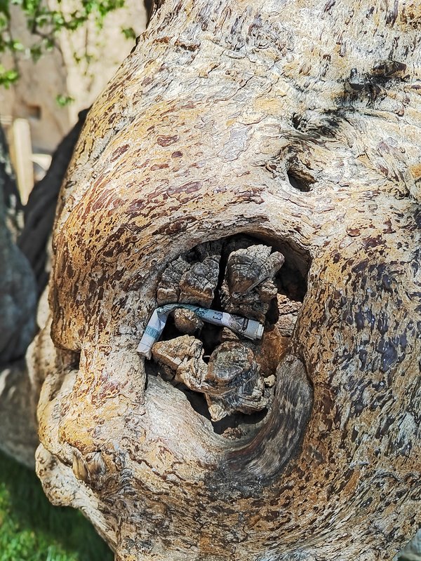 https://i.postimg.cc/vBGsVJYM/031-IMG-20230420-105716.jpg