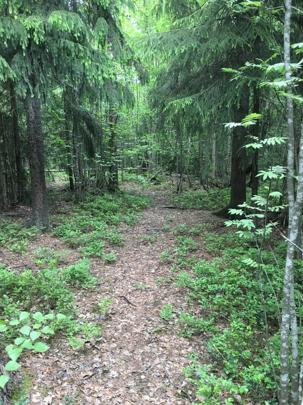 8CFED8C7-4F4E-4A75-8498-E02788BCAE9B